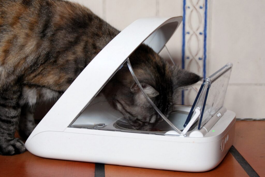 Futterautomat für Katzen mit Chip-Erkennung