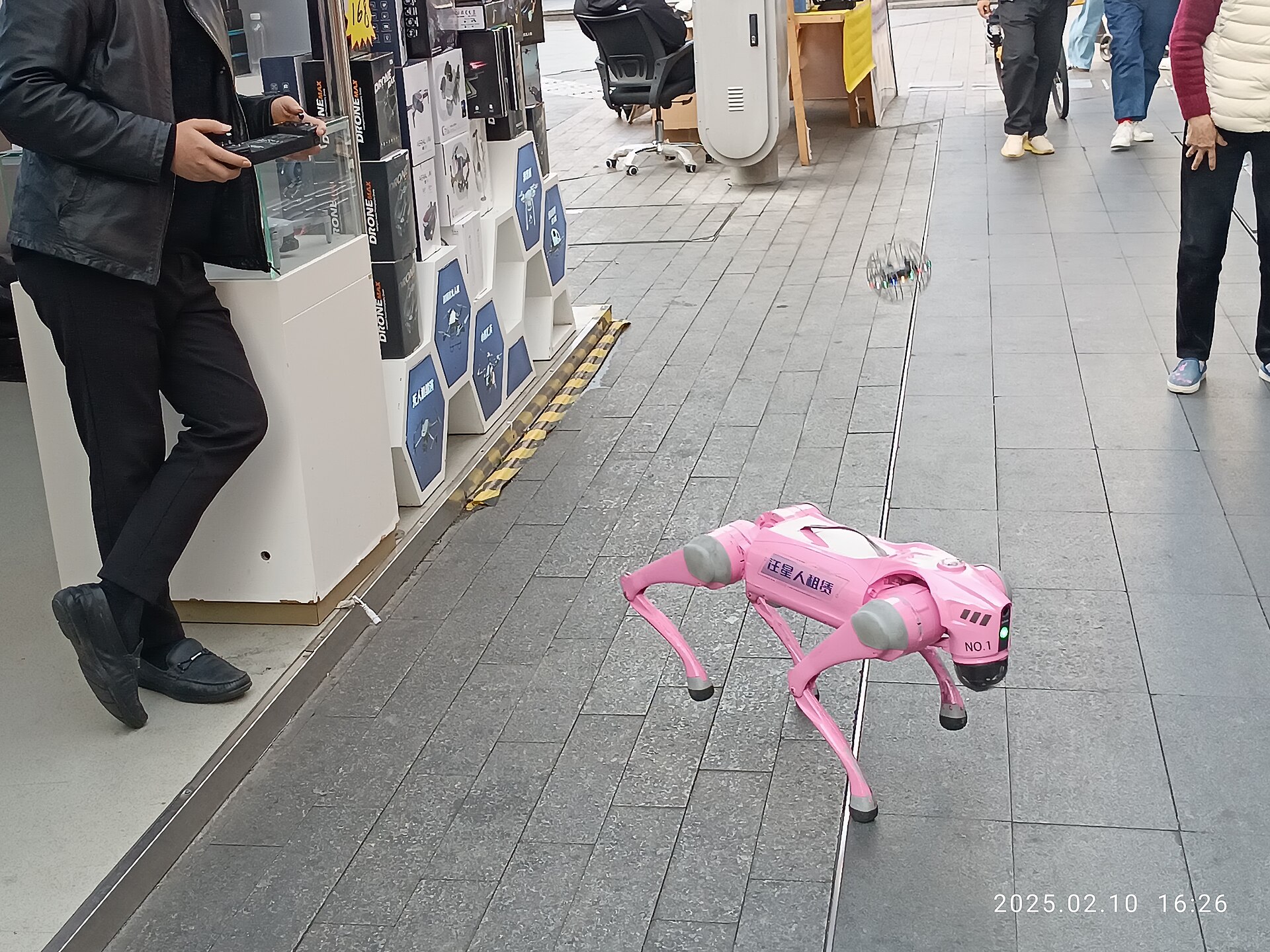 Roboterhund auf einer Strasse in Huaqiangbei, Shenzhen Roboterhund auf einer Strasse in Huaqiangbei, Shenzhen