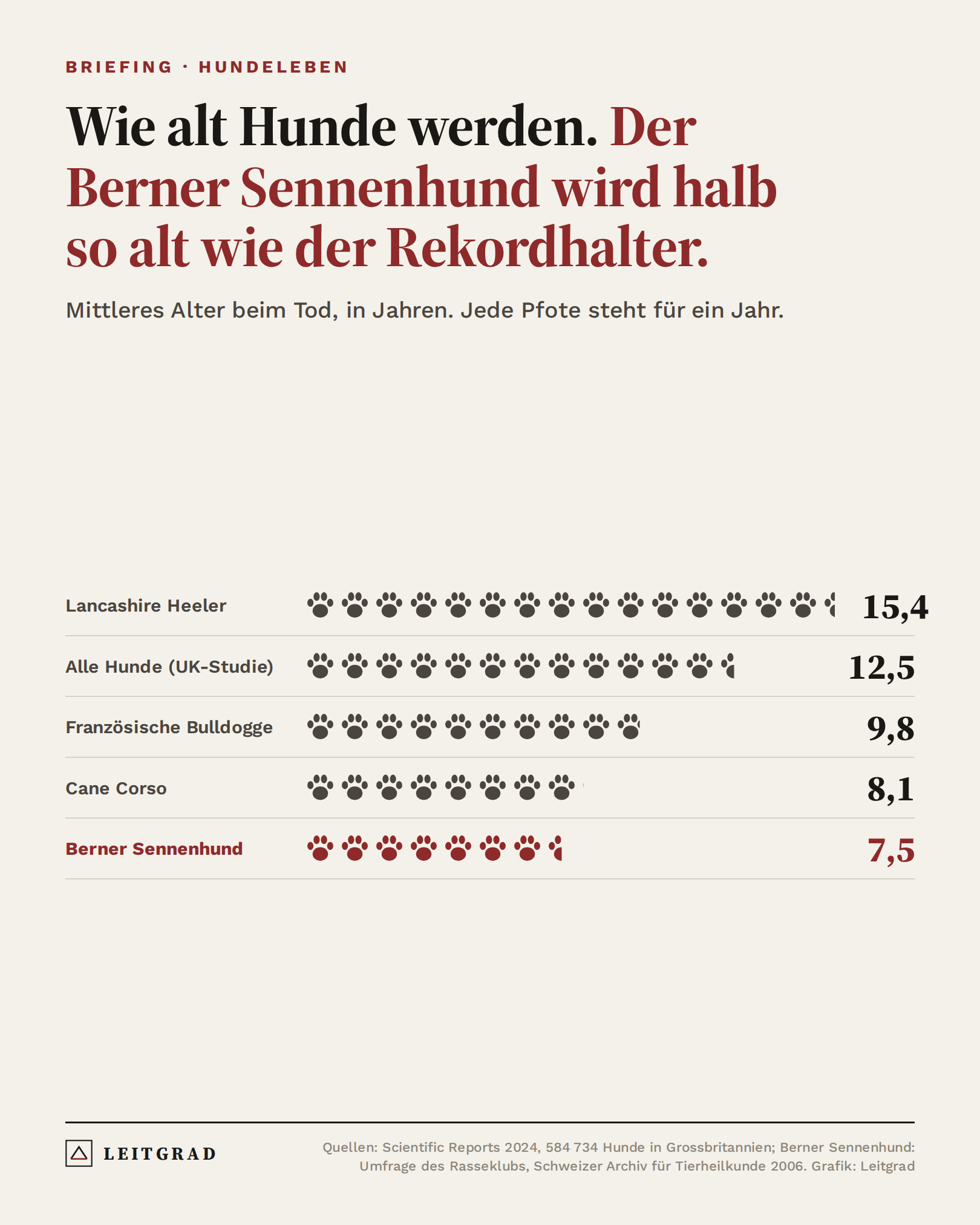 Grafik: Mittleres Alter von Hunden nach Rasse, Berner Sennenhund 7,5 Jahre