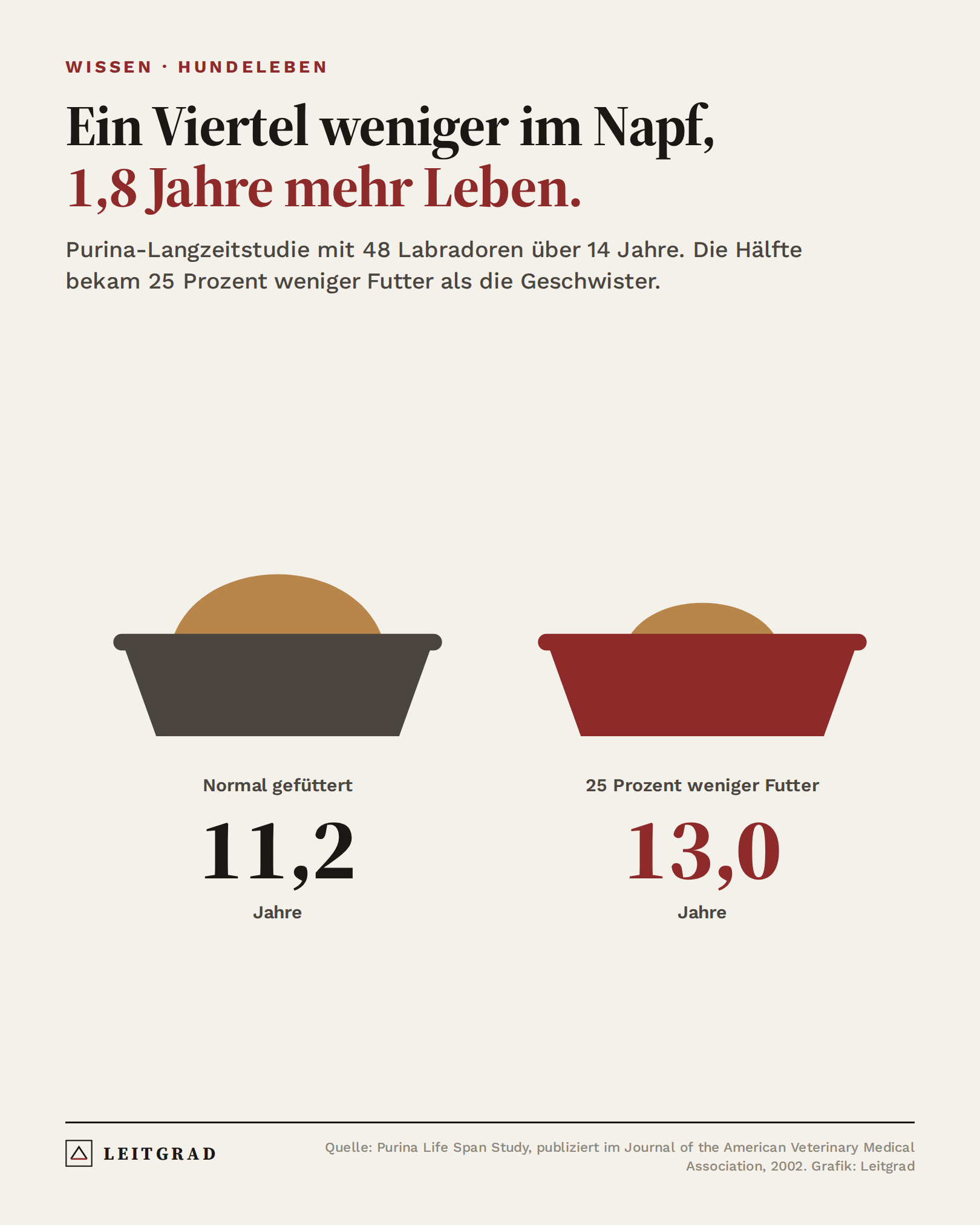 Grafik: Labradore mit einem Viertel weniger Futter lebten 13,0 statt 11,2 Jahre